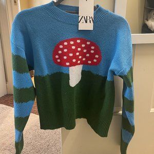 Zara mushroom sweater